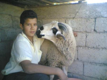 abd lhadi